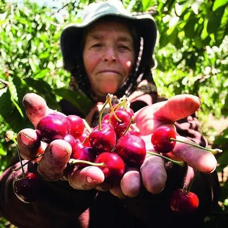 Laje House Fireplace Entire House Wifi